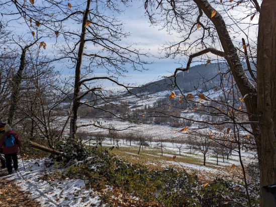 Rund um die Madenburg,
21. Januar 2024